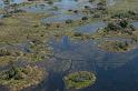 063 Okavango Delta